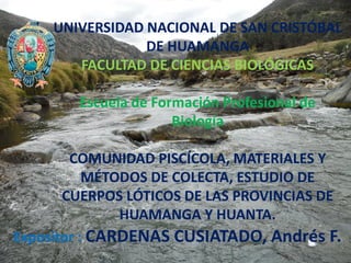 UNIVERSIDAD NACIONAL DE SAN CRISTÓBAL DE HUAMANGA FACULTAD DE CIENCIAS BIOLÓGICAS Escuela de Formación Profesional de Biología COMUNIDAD PISCÍCOLA, MATERIALES Y MÉTODOS DE COLECTA, ESTUDIO DE CUERPOS LÓTICOS DE LAS PROVINCIAS DE HUAMANGA Y HUANTA. 
Expositor : CARDENAS CUSIATADO, Andrés F.  