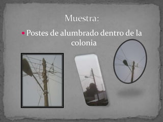  Postes de alumbrado dentro de la
              colonia
 
