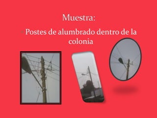  Postes de alumbrado dentro de la
              colonia
 