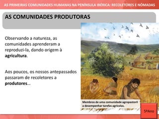 AS PRIMEIRAS COMUNIDADES HUMANAS NA PENÍNSULA IBÉRICA: RECOLETORES E NÓMADAS
Observando a natureza, as
comunidades aprenderam a
reproduzi-la, dando origem à
agricultura.
Aos poucos, os nossos antepassados
passaram de recoletores a
produtores…
AS COMUNIDADES PRODUTORAS
Membros de uma comunidade agropastoril
a desempenhar tarefas agrícolas.
5ºAno
 