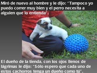 Miró de nuevo al hombre y le dijo: “ Tampoco yo
puedo correr muy bien y el perro neces ita a
alguien que lo entienda” .




E l dueño de la tienda, con los ojos llenos de
lágrimas le dijo: “ S ólo es pero que cada uno de
es tos cachorros tenga un dueño como tú” .
 
