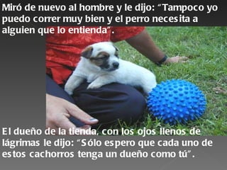Miró de nuevo al hombre y le dijo: “ Tampoco yo
puedo correr muy bien y el perro neces ita a
alguien que lo entienda” .




E l dueño de la tienda, con los ojos llenos de
lágrimas le dijo: “ S ólo es pero que cada uno de
es tos cachorros tenga un dueño como tú” .
 