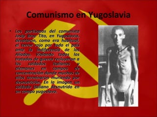 Comunismo en Yugoslavia Los partisanos del comunista Josip Broz Tito, en Yugoslavia, desataron, como era habitual, el terror rojo por todo el país ante la indiferencia de los Aliados. Violando todos los tratados de guerra recluyeron a los soldados italianos y alemanes en campos de concentración donde muchos de ellos terminaron muriendo por desnutrición. En la imagen un soldado italiano desnutrido en un campo yugoslavo. 