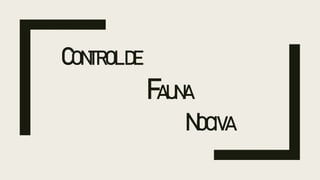 CONTROLDE
FAUNA
NOCIVA
 