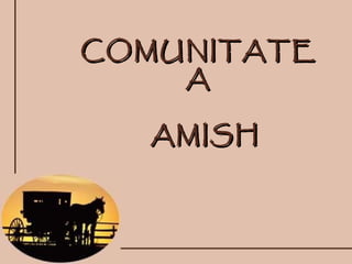 COMUNITATEA AMISH 