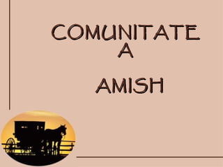 COMUNITATE
    A

  AMISH
 