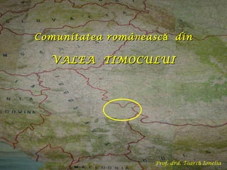Comunitatea româ n ească   din VALEA  TIMOCULUI Prof. drd. Toarcă Ionelia 