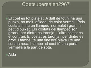  El coet és tot platejat. A dalt de tot hi ha una
punxa, no molt afilada, de color vermell. Pels
costats hi ha un llampec normalet i gran ni
petit dibuixat. Els costats del llampec son
grocs i per dintre es taronja. L’altre costat es
el contrari. El costat es taronja i per dintre es
groc. I també te una finestra blava i te una
cortina rosa. I també el coet té una porta
vermella a la part de sota.
 Aida
 