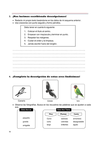 55
3. ¡Nos lucimos escribiendo descripciones!
 Redacto mi propio texto basándome en los datos de mi esquema anterior.
 Uso oraciones con punto seguido y formo párrafos.
………………………………………………………………………………………………
………………………………………………………………………………………………
………………………………………………………………………………………………
………………………………………………………………………………………………
………………………………………………………………………………………………
………………………………………………………………………………………………
………………………………………………………………………………………………
4. ¡Completo la descripción de estas aves lindísimas!
Canario Cóndor loro
 Observa las fotografías. Busca en los recuadros las palabras que se ajusten a cada
ave.
Esta Ave es
pequeña
grande
amigable
Pico Plumas Canto
Curvo
corto
largo
sedosas
coloridas
brillantes
armonioso
desagradable
agudo
Esta Ave Tiene
Debo tener en cuenta lo siguiente:
1. Colocar el título al centro.
2. Empezar con mayúscula y terminar en punto.
3. Respetar los márgenes.
4. Cuidar el orden y la limpieza.
5. Jamás escribir fuera del renglón.
 