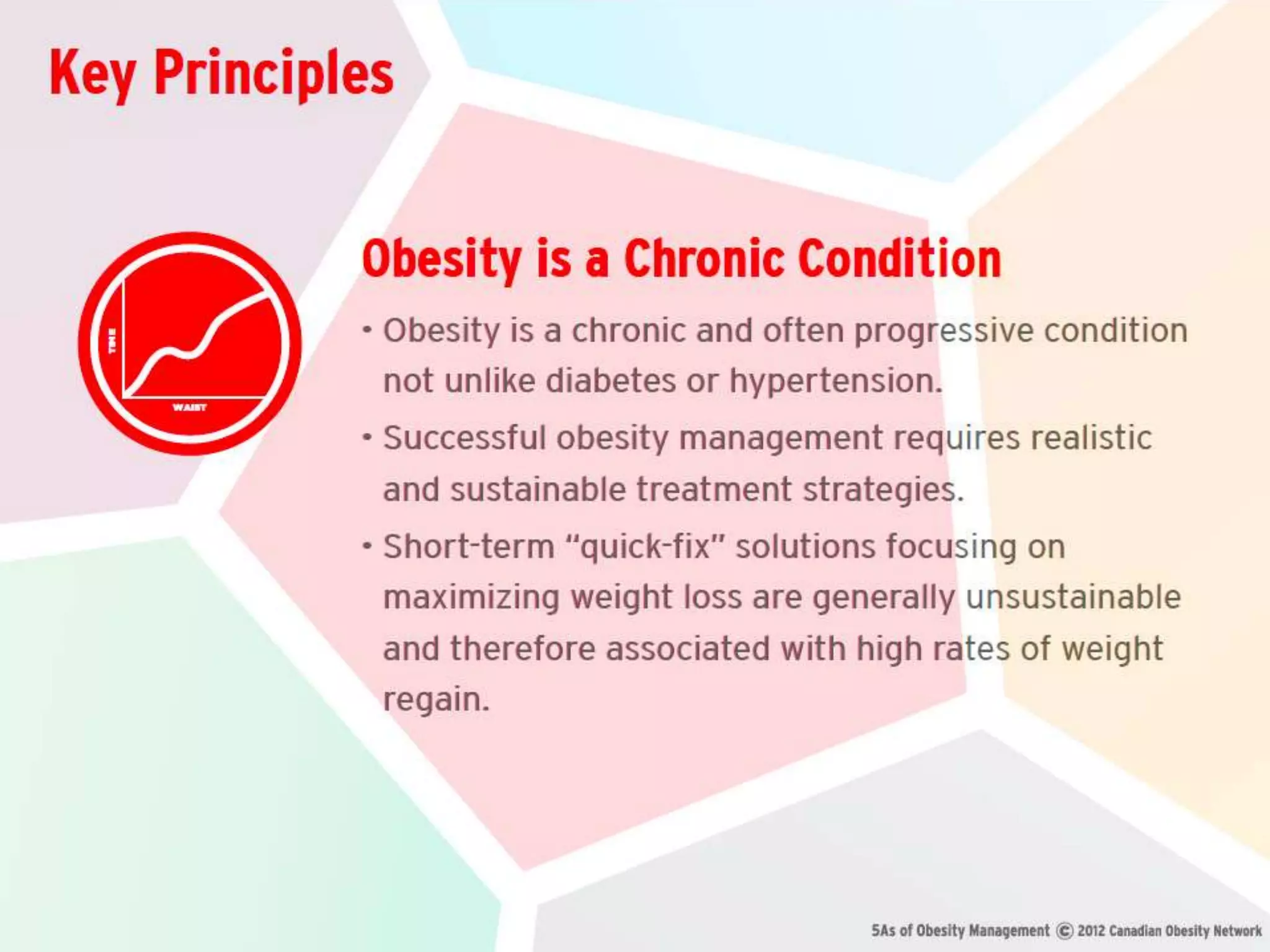 5 Key Principles of Obesity Management | PPTX