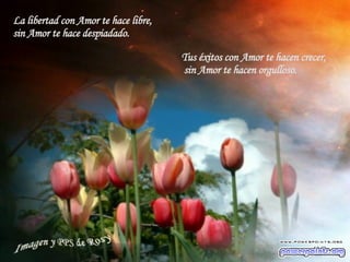 La libertad con Amor te hace libre,  sin Amor te hace despiadado. Tus éxitos con Amor te hacen crecer,  sin Amor te hacen orgulloso. 
