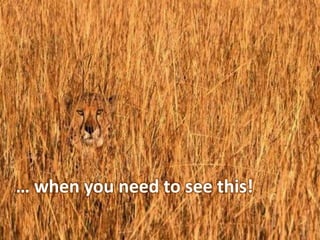 28
… when you need to see this!
 