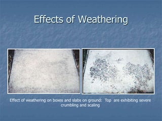 Effects of Weathering




Effect of weathering on boxes and slabs on ground: Top are exhibiting severe
                            crumbling and scaling
 
