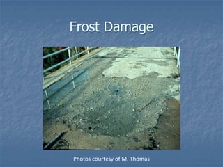 Frost Damage




Photos courtesy of M. Thomas
 