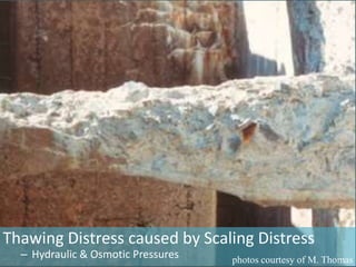 Thawing Distress caused by Scaling Distress
– Hydraulic & Osmotic Pressures

photos courtesy of M. Thomas

 
