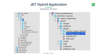 41JET Hybrid Application
Application Structure
 