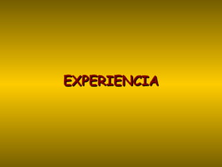 EXPERIENCIA 