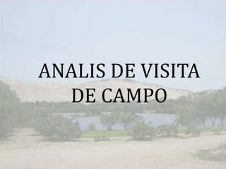 ANALIS DE VISITA
DE CAMPO
 
