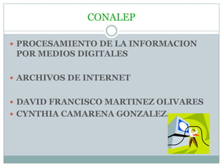CONALEP
 PROCESAMIENTO DE LA INFORMACION

POR MEDIOS DIGITALES
 ARCHIVOS DE INTERNET
 DAVID FRANCISCO MARTINEZ OLIVARES
 CYNTHIA CAMARENA GONZALEZ.

 