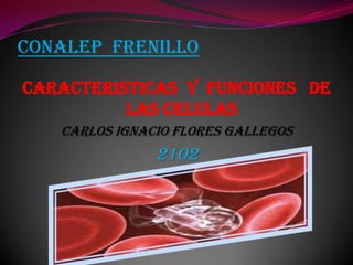 CONALEP  FRENILLO CARACTERISTICAS  Y  FUNCIONES   DE  LAS CELULAS CARLOS IGNACIO FLORES GALLEGOS 2102 