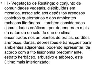 III - Vegetação de Restinga: o conjunto de comunidades vegetais, distribuídas em mosaico, associado aos depósitos arenosos costeiros quaternários e aos ambientes rochosos litorâneos – também consideradas comunidades edáficas - por dependerem mais da natureza do solo do que do clima, encontradas nos ambientes de praias, cordões arenosos, dunas, depressões e transições para ambientes adjacentes, podendo apresentar, de acordo com a fito fisionomia predominante, estrato herbáceo, arbustivo e arbóreo, este último mais interiorizado;  