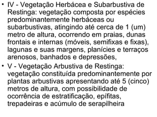 IV - Vegetação Herbácea e Subarbustiva de Restinga: vegetação composta por espécies predominantemente herbáceas ou subarbustivas, atingindo até cerca de 1 (um) metro de altura, ocorrendo em praias, dunas frontais e internas (móveis, semifixas e fixas), lagunas e suas margens, planícies e terraços arenosos, banhados e depressões,  V - Vegetação Arbustiva de Restinga: vegetação constituída predominantemente por plantas arbustivas apresentando até 5 (cinco) metros de altura, com possibilidade de ocorrência de estratificação, epífitas, trepadeiras e acúmulo de serapilheira  