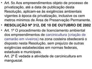 Art. 5o Aos empreendimentos objeto de processo de privatização, até a data de publicação desta Resolução, aplicam-se às exigências ambientais vigentes à época da privatização, inclusive os cem metros mínimos de Área de Preservação Permanente. RESOLUÇÃO Nº 312, DE 10 DE OUTUBRO DE 2002   Art. 1º O procedimento de licenciamento ambiental dos empreendimentos de  carcinicultura (criação de camarão em viveiros)  na zona costeira obedecerá o disposto nesta Resolução, sem prejuízo de outras exigências estabelecidas em normas federais, estaduais e municipais. Art. 2º É vedada a atividade de carcinicultura em manguezal. 