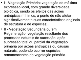 I - Vegetação Primária: vegetação de máxima expressão local, com grande diversidade biológica, sendo os efeitos das ações antrópicas mínimos, a ponto de não afetar significativamente suas características originais de estrutura e de espécies;  II - Vegetação Secundária ou em Regeneração: vegetação resultante dos processos naturais de sucessão, após supressão total ou parcial da vegetação primária por ações antrópicas ou causas naturais, podendo ocorrer espécies remanescentes da vegetação primária  