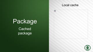 Conan a C/C++ Package Manager | PDF