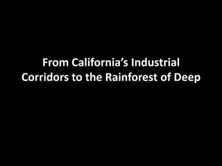 From California’s Industrial Corridors to the Rainforest of Deep  