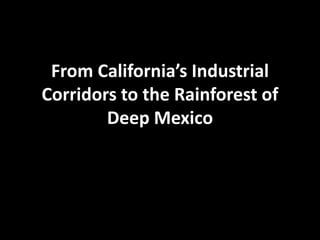 From California’s Industrial Corridors to the Rainforest of Deep Mexico  