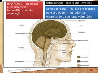 A deliberação consiste na ponderação das vantagens e inconvenientes de uma determinada acção. 