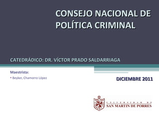 CONSEJO NACIONAL DE POLÍTICA CRIMINAL ,[object Object],[object Object],DICIEMBRE 2011 CATEDRÁDICO: DR. VÍCTOR PRADO SALDARRIAGA 