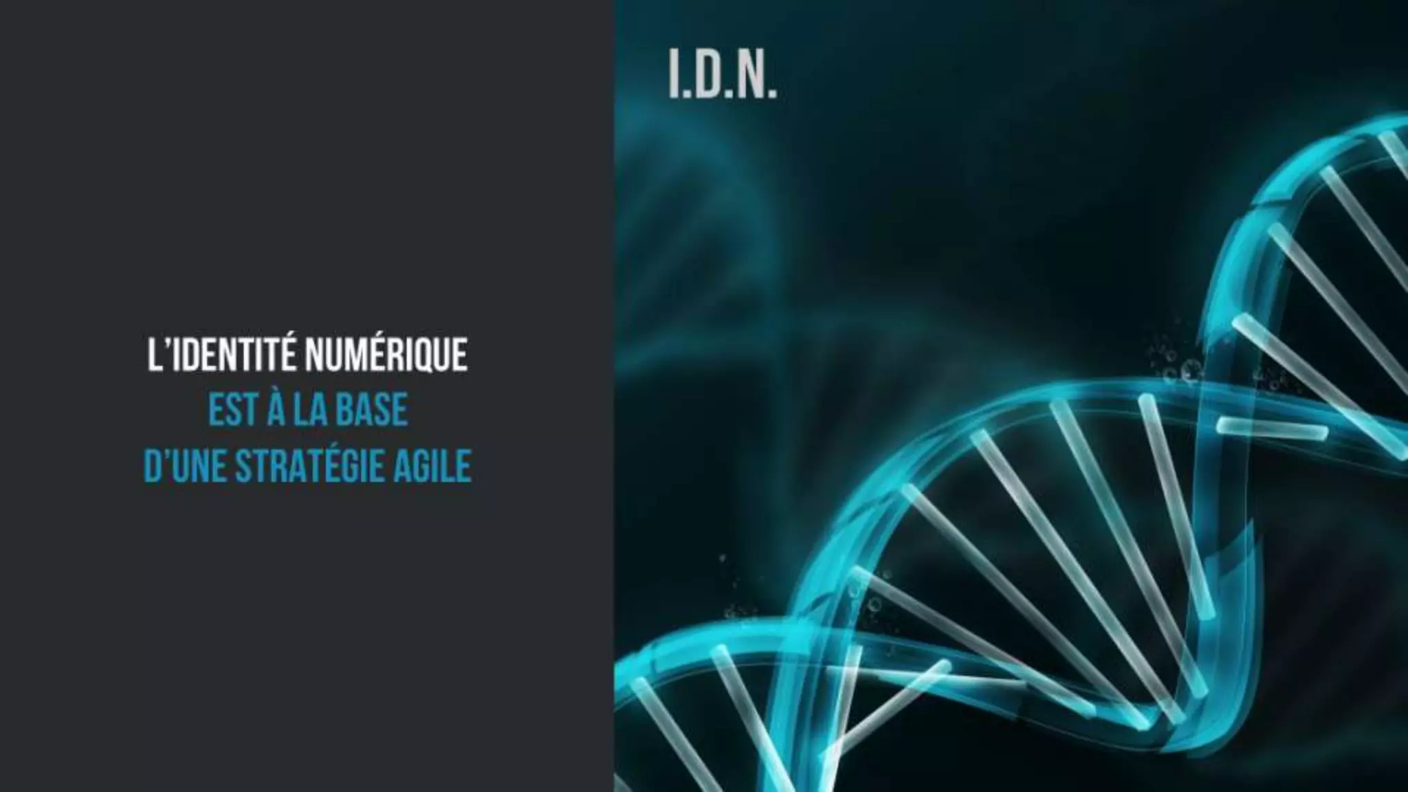 Co'Narra - La Créativité Sociale