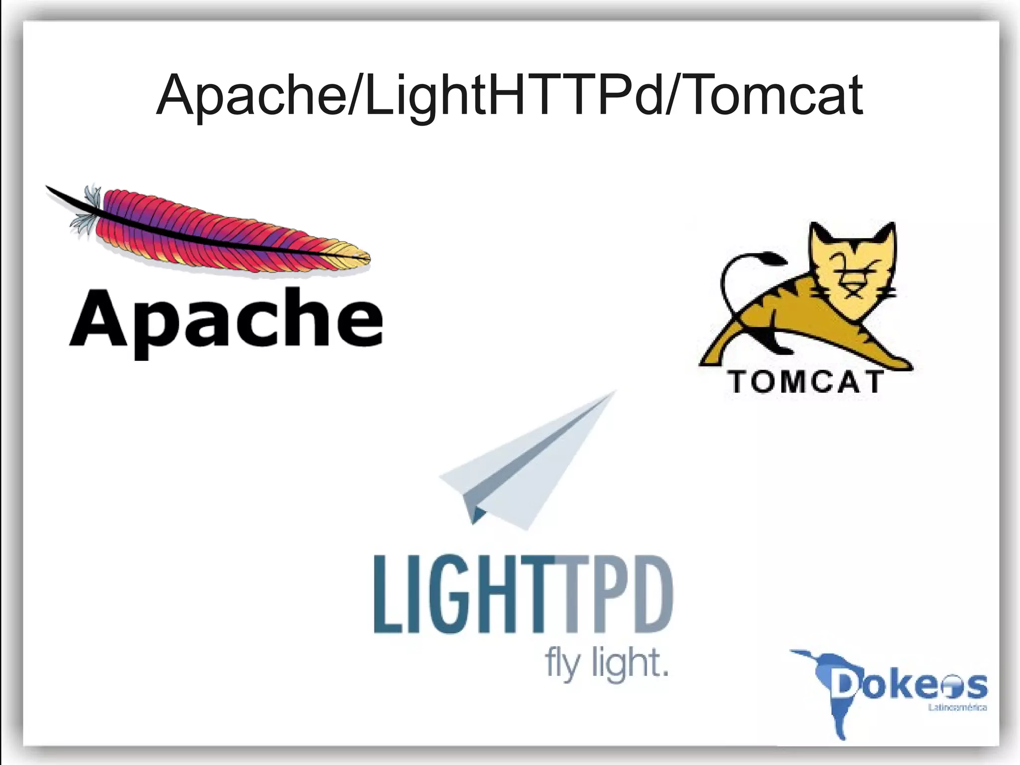 Apache/LightHTTPd/Tomcat
 