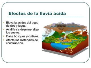 Efectos de la lluvia ácida Eleva la acidez del agua de ríos y lagos. Acidifica y desmineraliza los suelos. Daña bosques y cultivos. Afecta los materiales de construcción. 