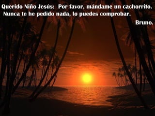 Querido Niño Jesús:  Por favor, mándame un cachorrito.  Nunca te he pedido nada, lo puedes comprobar. Bruno. 