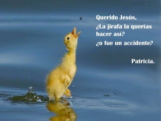 Querido Jesús, ¿La jirafa la querías hacer así? ¿o fue un accidente? Patricia. 