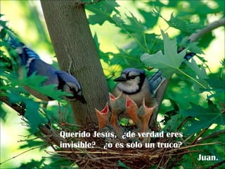Querido Jesús,  ¿de verdad eres invisible?  ¿o es sólo un truco? Juan. 
