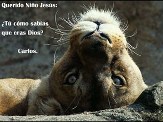 Querido Niño Jesús: ¿Tú cómo sabías que eras Dios? Carlos. 