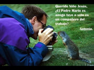 Querido Niño Jesús,  ¿El Padre Mario es amigo tuyo o sólo es un compañero del trabajo? Antonio. 
