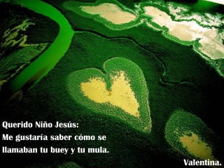 Querido Niño Jesús: Me gustaría saber cómo se llamaban tu buey y tu mula. Valentina. 