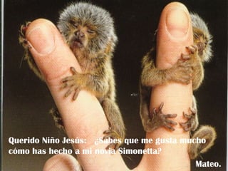 Querido Niño Jesús:  ¿Sabes que me gusta mucho cómo has hecho a mi novia Simonetta? Mateo. 