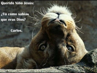 Querido Niño Jesús: ¿Tú cómo sabías que eras Dios? Carlos. 