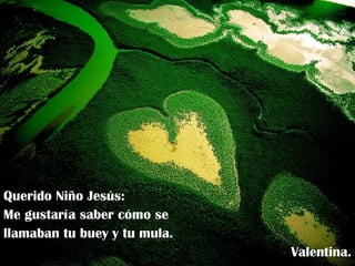 Querido Niño Jesús: Me gustaría saber cómo se llamaban tu buey y tu mula. Valentina. 