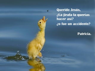 Querido Jesús, ¿La jirafa la querías hacer así? ¿o fue un accidente? Patricia. 