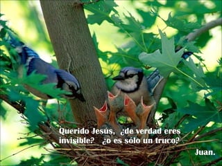 Querido Jesús,  ¿de verdad eres invisible?  ¿o es sólo un truco? Juan. 