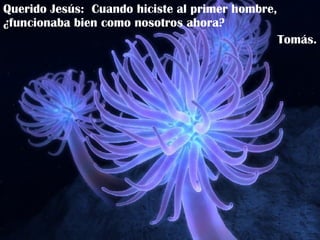Querido Jesús:  Cuando hiciste al primer hombre, ¿funcionaba bien como nosotros ahora? Tomás. 