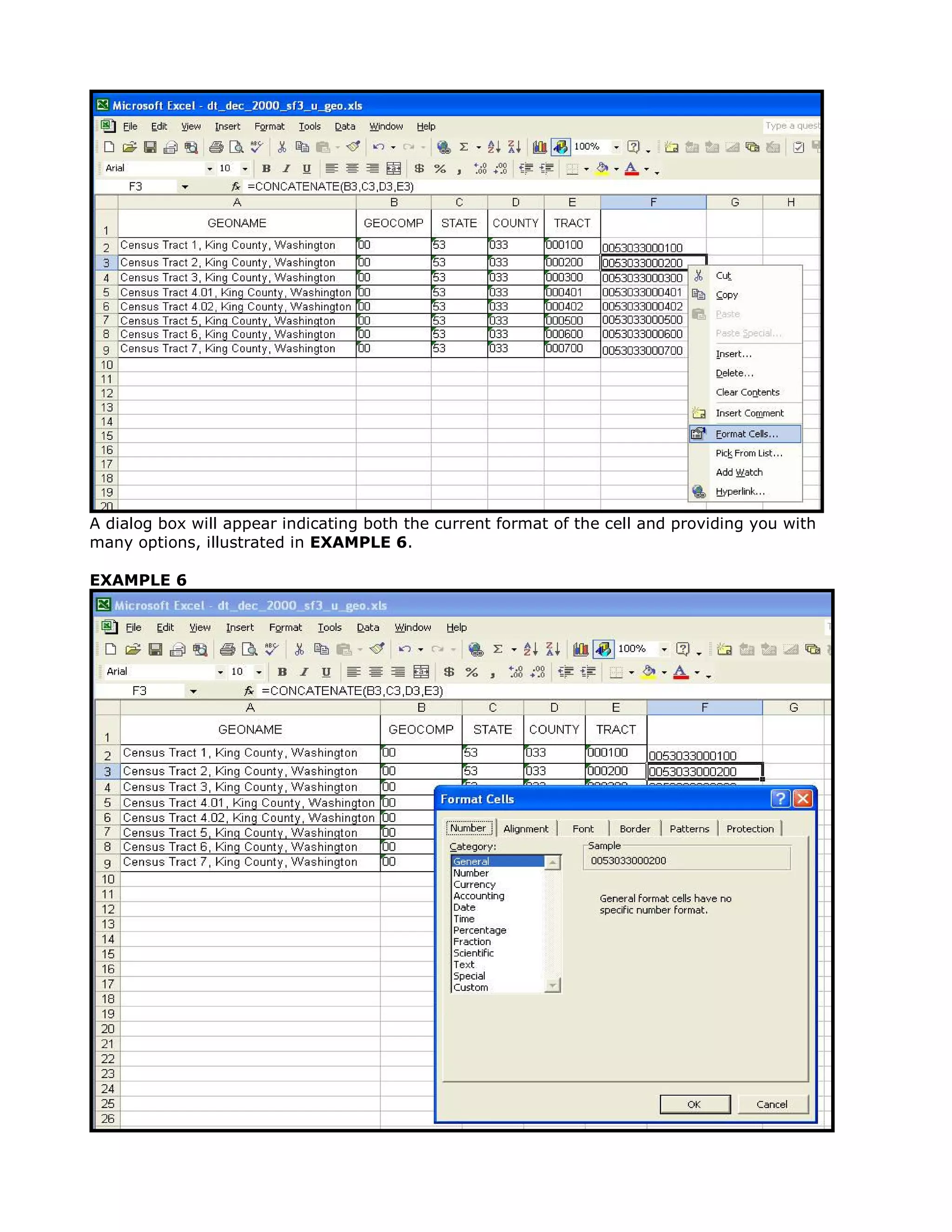 A dialog box will appear indicating both the current format of the cell and providing you with
many options, illustrated in EXAMPLE 6.

EXAMPLE 6
 
