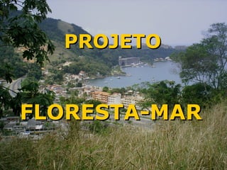 PROJETO


FLORESTA-MAR
 